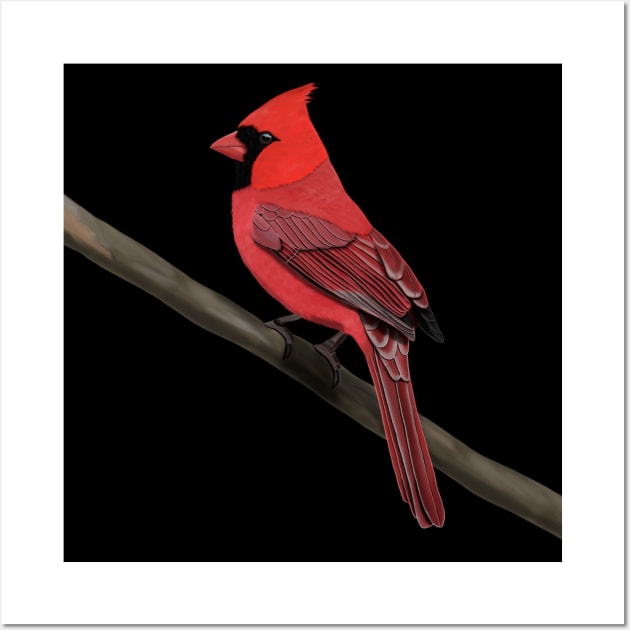 Northern Cardinal Bird Illustration Backyard Birds Wall Art by jzbirds